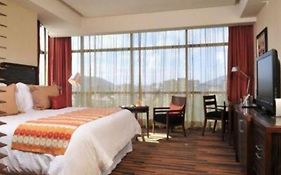 Hotel Dreams Araucania